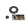 Κιτ αλυσίδα και γρανάζια REGINA για KTM DUKE 200