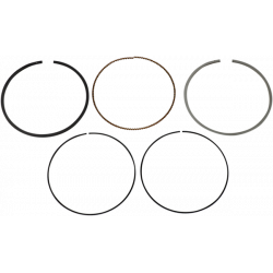 Ασφάλεια πείρου πιστονιού WISECO PISTON RING VM 3.895/.020 RANGER RZR 570 4X4 20 Ασφάλεια πείρου πιστονιού WISECO PISTON RING VM 3.895/.020 RANGER RZR 570 4X4 20