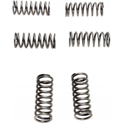 Ελατήρια συμπλέκτη EBC CSK198