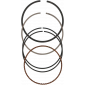 Ασφάλεια πείρου πιστονιού WISECO RING SET TT-R 250 03-06 thumb