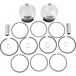 Πιστόνι μοτοσυκλέτας WISECO PISTON KT 04-19XL1200 STD