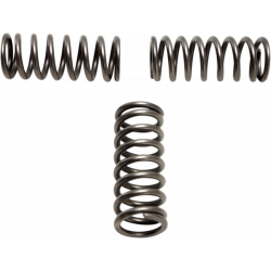 Ελατήρια συμπλέκτη EBC CSK202 Ελατήρια συμπλέκτη EBC CSK202