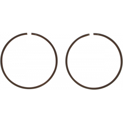 Ασφάλεια πείρου πιστονιού WISECO RING SET TRX 400 X 11-14 Ασφάλεια πείρου πιστονιού WISECO RING SET TRX 400 X 11-14