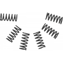 Ελατήρια συμπλέκτη EBC CSK002