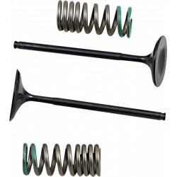 Σετ ατσάλινη βαλβίδα εισαγωγής και ελατήριο ProX για HONDA