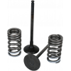 Κιτ βαλβίδες WISECO GB για CRF250R 10-15