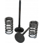 Κιτ βαλβίδες WISECO GB για CRF250R 10-15 thumb