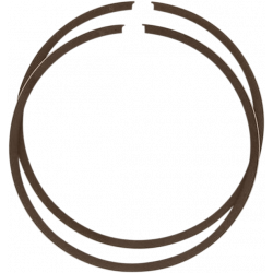 Ασφάλεια πείρου πιστονιού WISECO RING SET TRAIL BLAZER 250 2X4 01-06