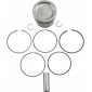 Πιστόνι μοτοσυκλέτας κιτ WISECO PISTON KIT POL800/RZR SPORTSMAN 800 EFI 6x6 thumb