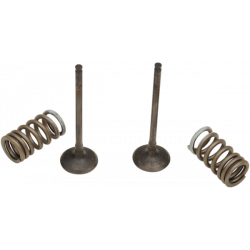 Σετ ατσάλινη βαλβίδα εξαγωγής και ελατήριο ProX για SUZUKI RM-Z250