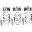 Πιστόνι μοτοσυκλέτας κιτ WISECO PISTON KIT YAMAHA RS RAGE 1000 07 thumb