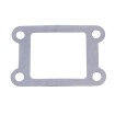 Στεγανοποίηση για βαλβίδα Reed 101 OCTANE IP32903 thumb