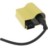 Cdi блок 101 OCTANE IP32330