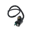 Πηνίο ανάφλεξης 101 OCTANE IP32532 Πηνίο ανάφλεξης 101 OCTANE IP32532 thumb