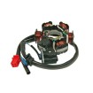 Στάτορας εναλλάκτη 6 πηνίων 101 OCTANE GY15039 Στάτορας εναλλάκτη 6 πηνίων 101 OCTANE GY15039 thumb