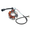 Στάτορας εναλλάκτη 101 OCTANE IP35648