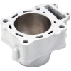 Κύλινδρος HON CRF250R AIRSAL 030475768