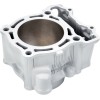Κύλινδρος YAM YZ250F AIRSAL 03127177