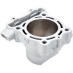 Κύλινδρος KAW KX250F AIRSAL 03420477 Κύλινδρος KAW KX250F AIRSAL 03420477 thumb