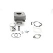 Σετ κυλίνδρου 49cc AIRSAL 02061340 Σετ κυλίνδρου 49cc AIRSAL 02061340 thumb