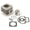 Σετ κυλίνδρου 65cc AIRSAL 02061446