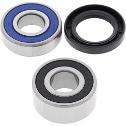 Σετ πίσω πλήμνης και στεγανοποιητικών BMW/HONDA ALL BALLS 25-1020
