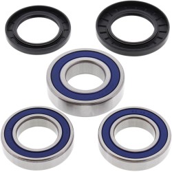 Σετ πίσω ρουλεμάν και στεγανοποίηση SUZUKI ALL BALLS 25-1039