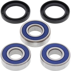 Σετ πίσω ρουλεμάν και στεγανοποίηση HONDA ALL BALLS 25-1155 Σετ πίσω ρουλεμάν και στεγανοποίηση HONDA ALL BALLS 25-1155
