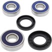 Σετ πίσω ρουλεμάν και στεγανοποίηση HONDA ALL BALLS 25-1257 Σετ πίσω ρουλεμάν και στεγανοποίηση HONDA ALL BALLS 25-1257 thumb