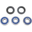 Σετ πίσω ρουλεμάν και τσιμούχα HONDA ALL BALLS 25-1258 Σετ πίσω ρουλεμάν και τσιμούχα HONDA ALL BALLS 25-1258 thumb