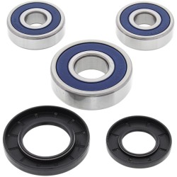 Σετ πίσω πλήμνης και τσιμούχες SUZUKI/YAMAHA ALL BALLS 25-1344