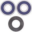 Σετ πίσω ρουλεμάν και στεγανοποίηση KAWASAKI ALL BALLS 25-1353 thumb
