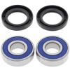 Σετ ρουλεμάν τροχού BRNG KT WHEEL FR BM ALL BALLS 25-1491-A