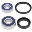 Σετ ρουλεμάν τροχού BRNG KT WHEEL FR HO ALL BALLS 25-1602-A thumb