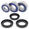 Σετ ρουλεμάν τροχού RR CG ALL BALLS 25-1605-A
