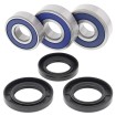 Σετ ρουλεμάν τροχού RR CG ALL BALLS 25-1605-A Σετ ρουλεμάν τροχού RR CG ALL BALLS 25-1605-A thumb