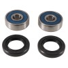 Σετ ρουλεμάν τροχού BRNG KT WHEEL FR HO ALL BALLS 25-1684-A