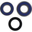 Σετ ρουλεμάν τροχού BMW ALL BALLS 25-1838 Σετ ρουλεμάν τροχού BMW ALL BALLS 25-1838 thumb