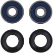Σετ ρουλεμάν τροχού CF MOTO ALL BALLS 25-1857 Σετ ρουλεμάν τροχού CF MOTO ALL BALLS 25-1857 thumb