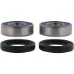 Σετ ρουλεμάν τροχού CF MOTO ALL BALLS 25-1858 thumb