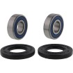 Σετ ρουλεμάν τροχού CF MOTO ALL BALLS 25-1859 Σετ ρουλεμάν τροχού CF MOTO ALL BALLS 25-1859 thumb