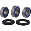Σετ ρουλεμάν τροχού CF MOTO ALL BALLS 25-1860 thumb