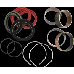 Σετ δακτυλίων για πιρούνι HONDA GL 1800 GOLDWING ALL BALLS 38-6079-FS