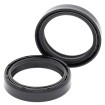 Σετ μόνο με τσιμούχα για πιρούνι APRILIA/BMW/BUELL ALL BALLS 55-120-A thumb