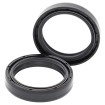 Σετ μόνο για στεγανοποίηση πιρουνιού KTM/GAS GAS ALL BALLS 55-135-A Σετ μόνο για στεγανοποίηση πιρουνιού KTM/GAS GAS ALL BALLS 55-135-A thumb