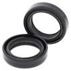 Σετ μόνο με τσιμούχα για πιρούνι BMW ALL BALLS 55-108-A Σετ μόνο με τσιμούχα για πιρούνι BMW ALL BALLS 55-108-A thumb