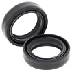 Σετ μόνο με τσιμούχα για πιρούνι HONDA ALL BALLS 55-107-A Σετ μόνο με τσιμούχα για πιρούνι HONDA ALL BALLS 55-107-A thumb