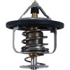 Θερμοστάτης POLARIS ALL BALLS 16-3004
