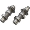 Σετ εκκεντροφόρου 31H με αλυσίδα ANDREWS PRODUCTS 216331