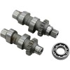 Σετ εκκεντροφόρου TW21 με αλυσίδα ANDREWS PRODUCTS 288121